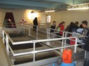 IMG_0499.JPG