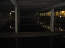 IMG_0507.JPG