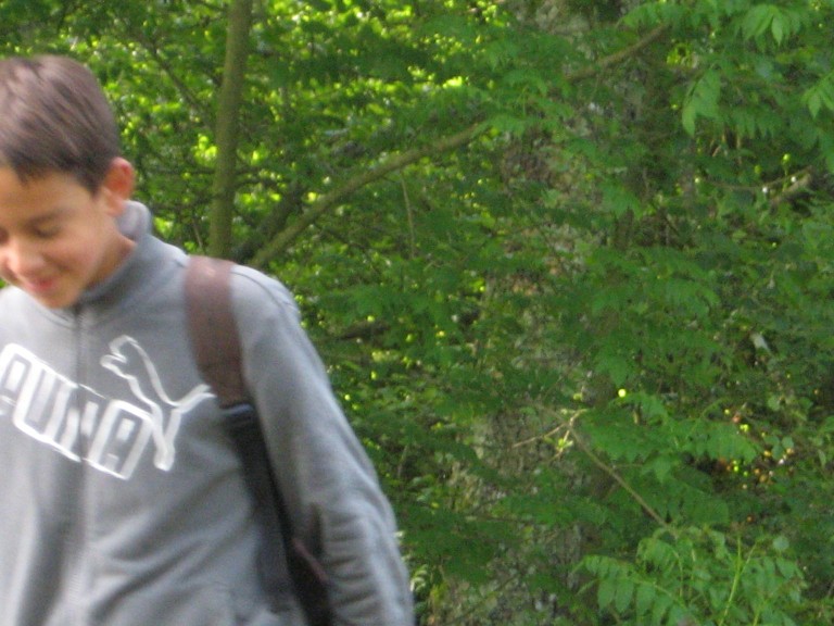 IMG_0598.JPG