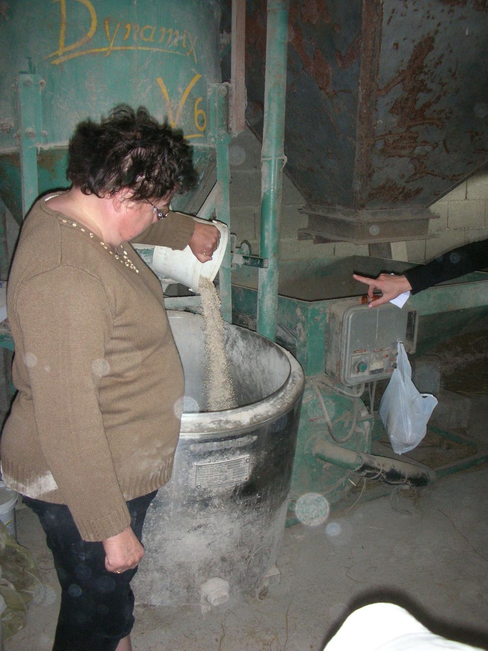 Ferme de Pierrette et Bernard (33).JPG
