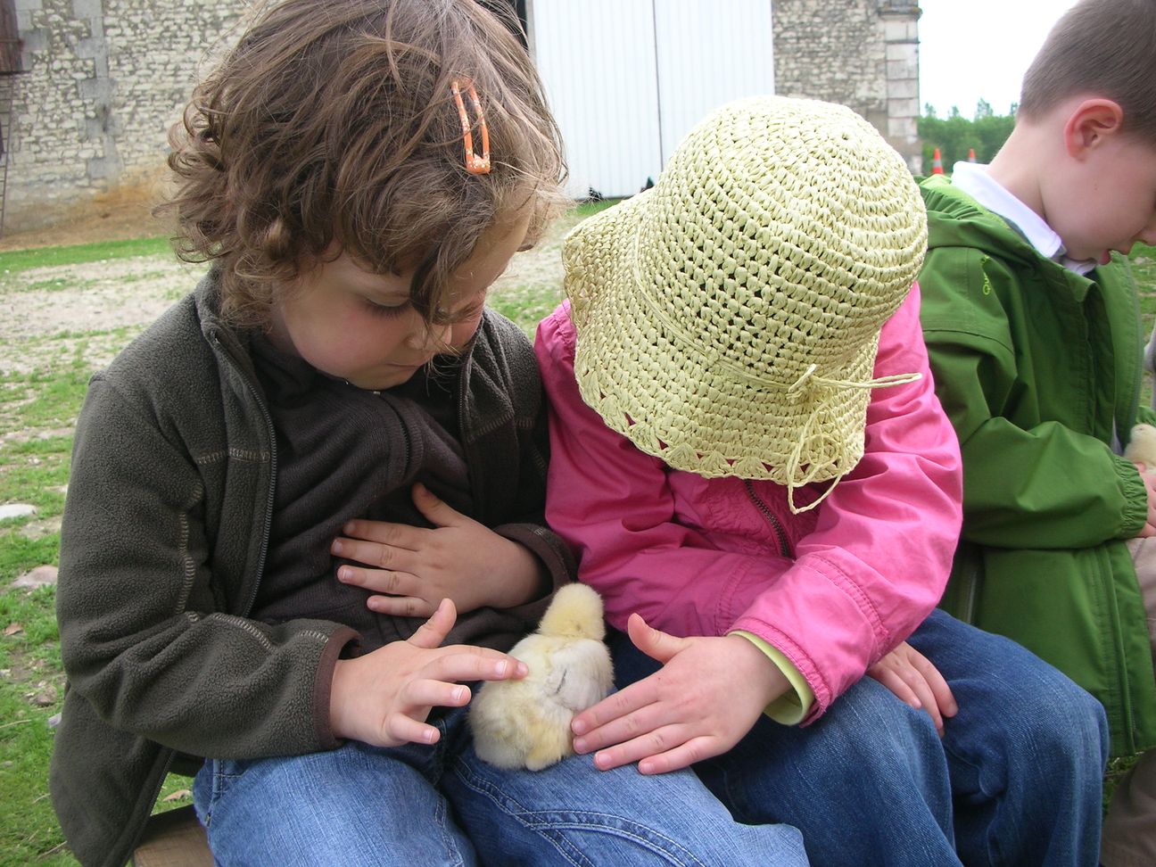 Ferme de Pierrette et Bernard (59).JPG