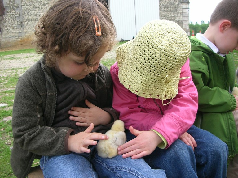 Ferme de Pierrette et Bernard (59).JPG