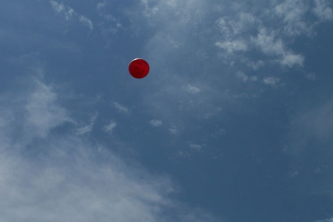 100_9971.JPG