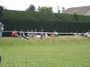 IMG_0981.JPG
