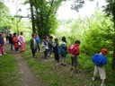 070.JPG
