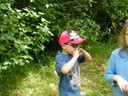DSCF0462.JPG
