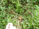 DSCF0463.JPG