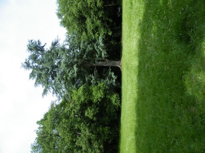 DSCF0470.JPG