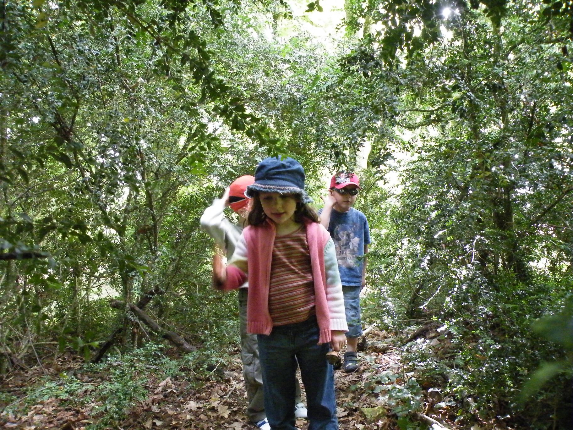 DSCF0484.JPG