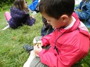 DSCF0531.JPG