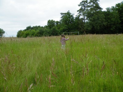 DSCF0540.JPG