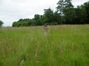 DSCF0540.JPG