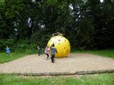 DSCF0560.JPG
