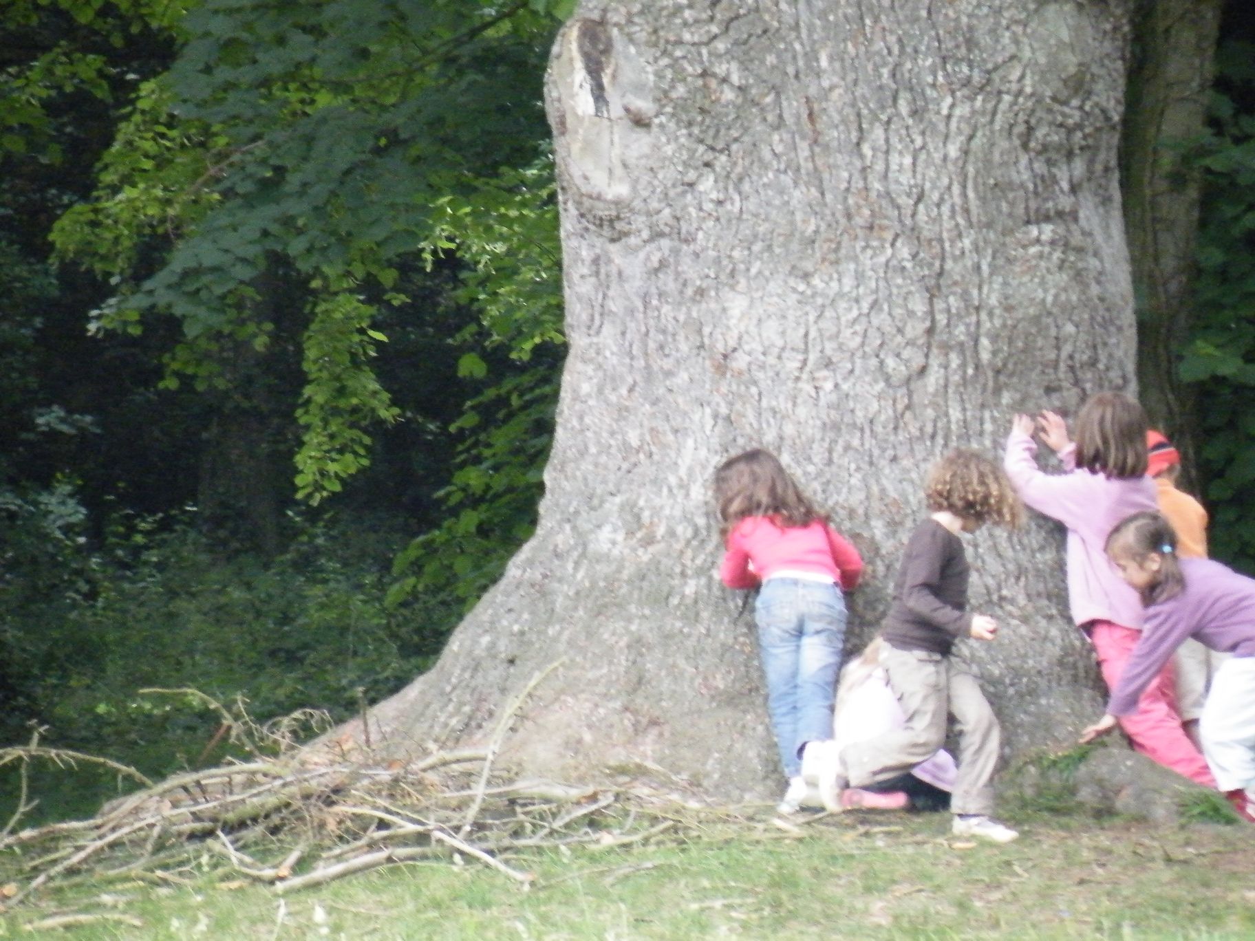 DSCF0579.JPG