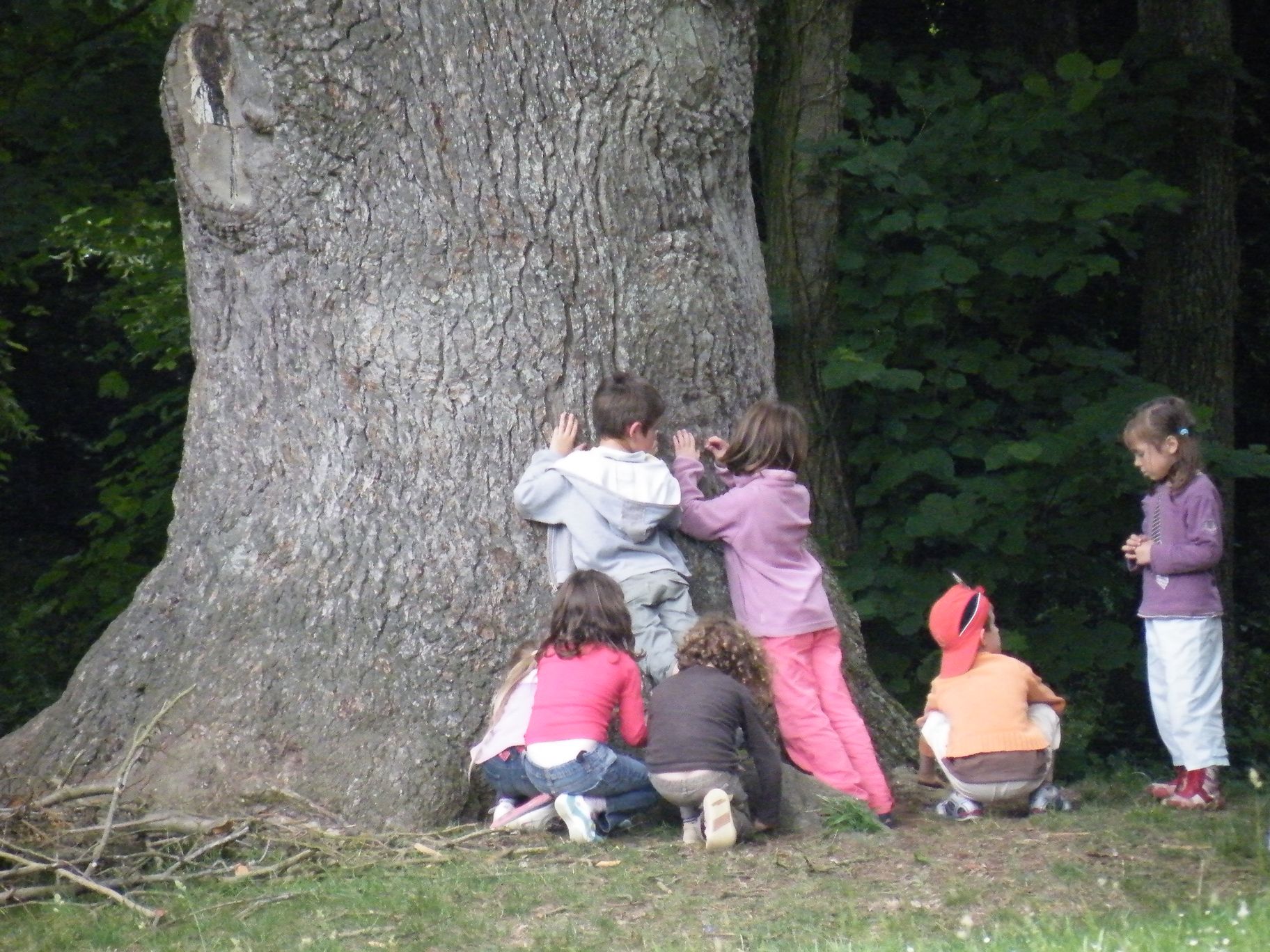 DSCF0580.JPG