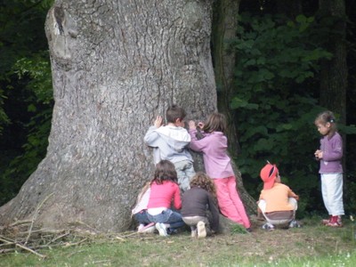 DSCF0580.JPG