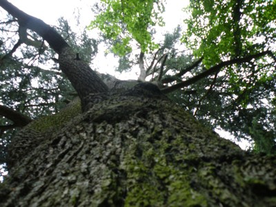 DSCF0582.JPG