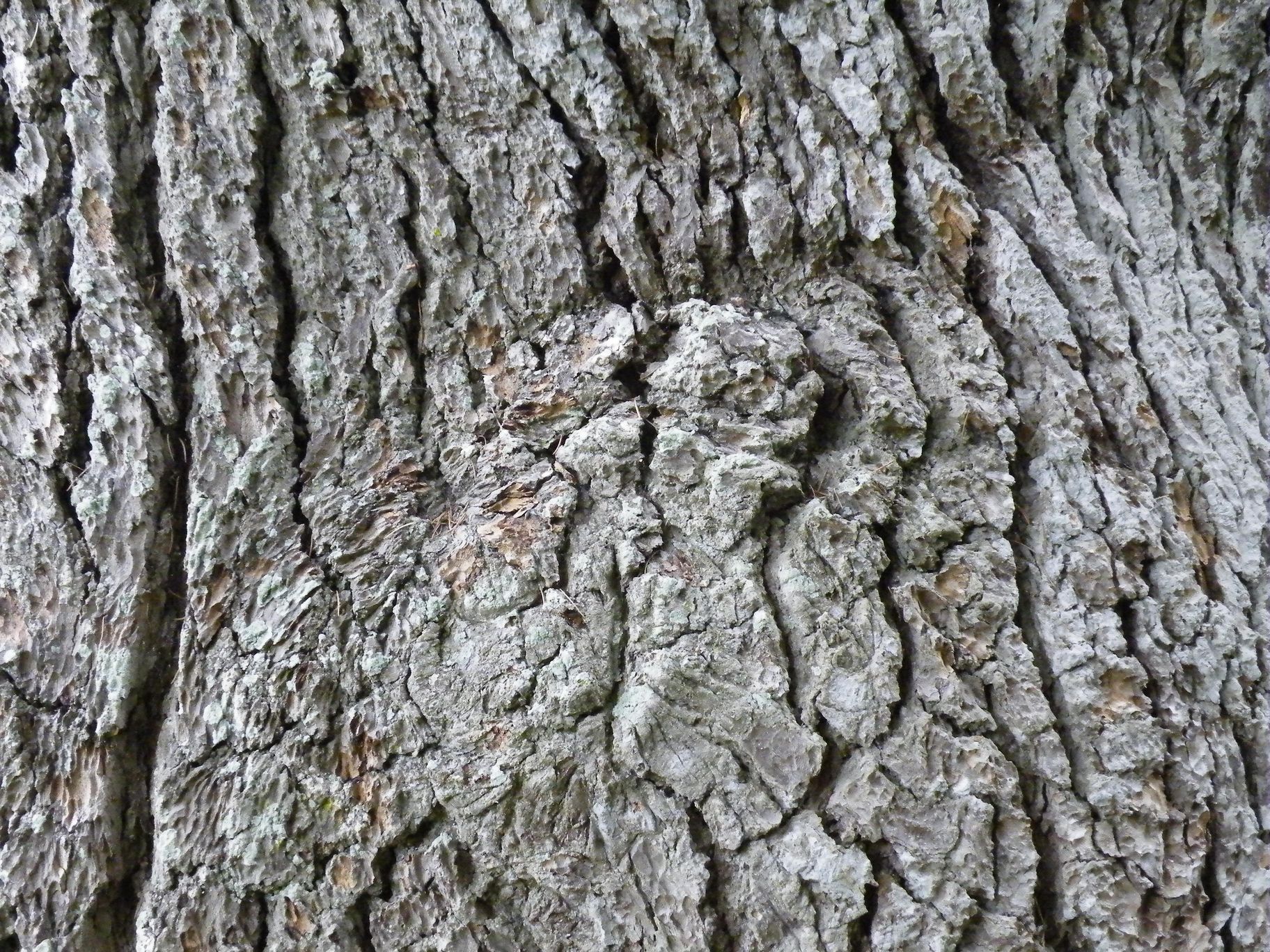 DSCF0585.JPG
