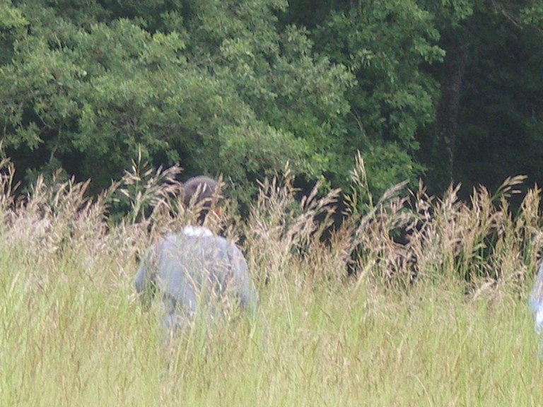 IMGP1773.JPG