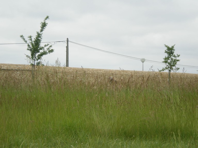 IMGP1776.JPG