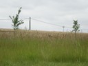 IMGP1776.JPG