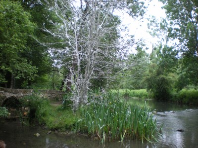 IMGP1527.JPG