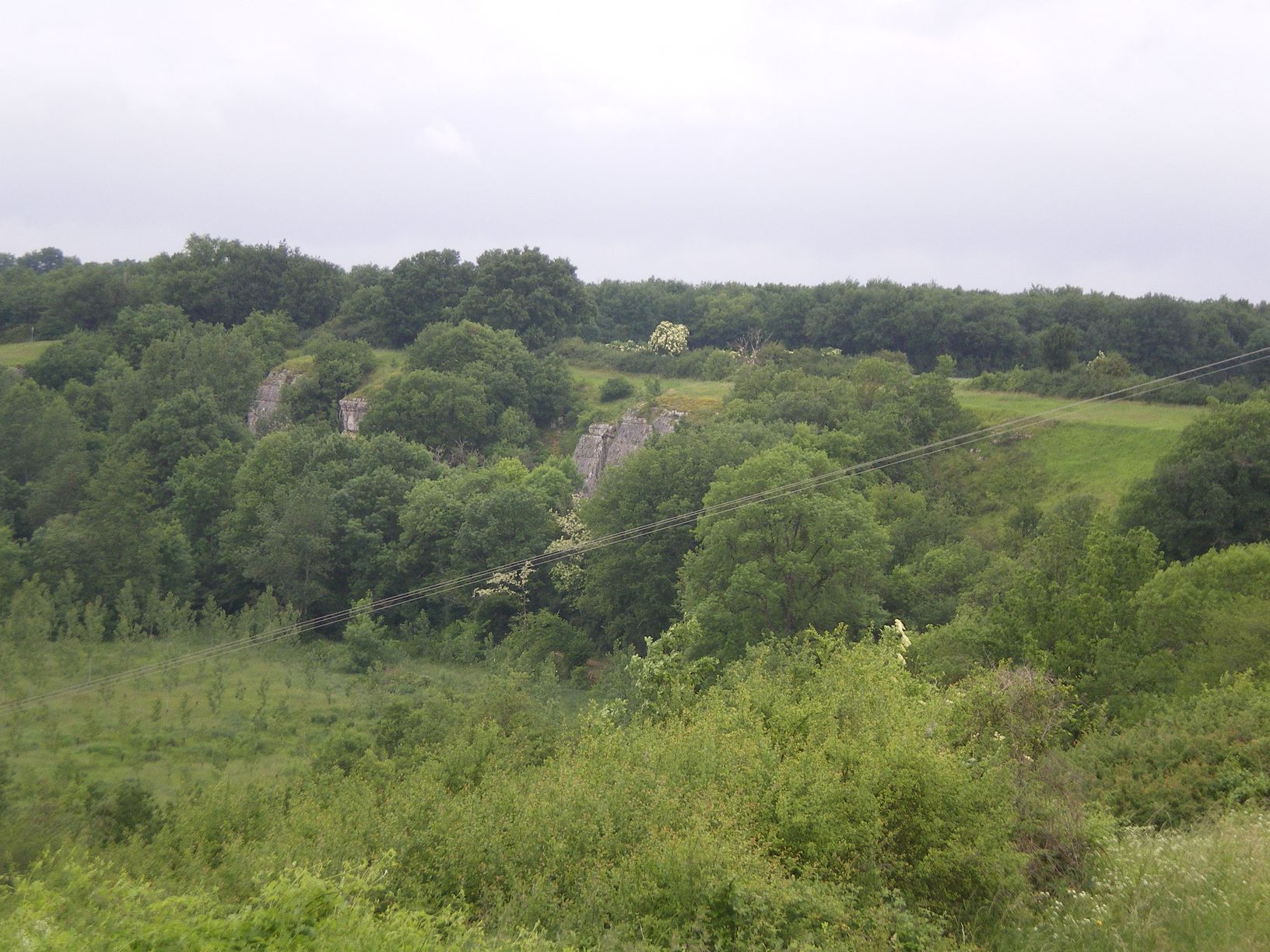IMGP1549.JPG