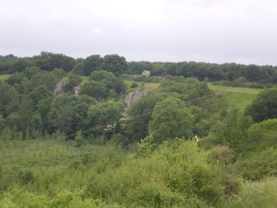 IMGP1549.JPG