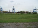 IMG_0425.JPG