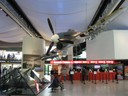 IMG_0491.JPG