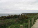IMG_0501.JPG