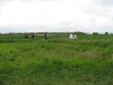 IMG_0521.JPG