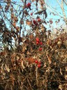 DSCN7578.JPG