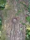 DSCN7580.JPG