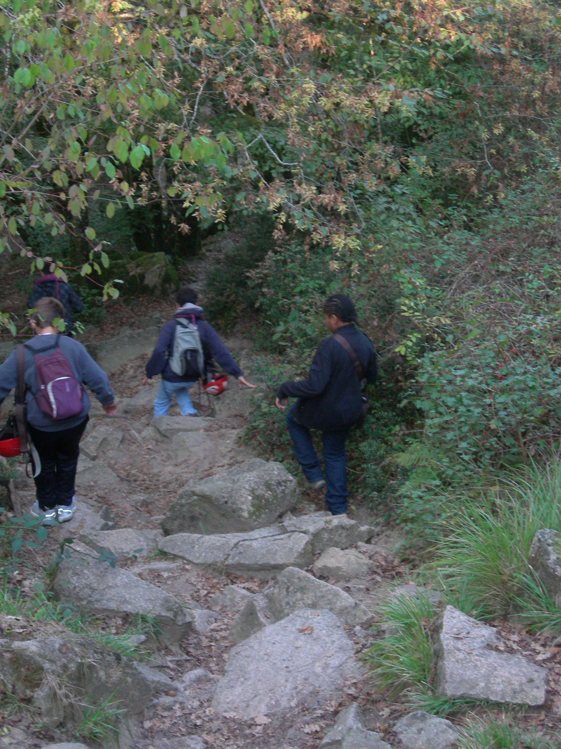 DSCN7583.JPG