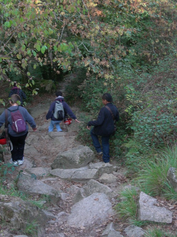 DSCN7583.JPG