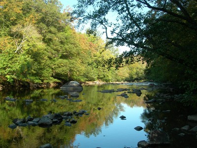 DSCN7585.JPG