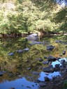 DSCN7586.JPG