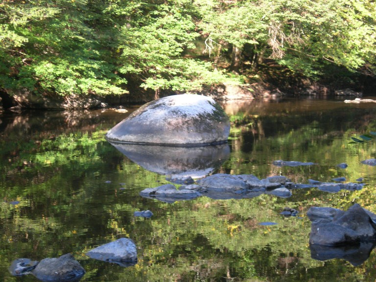 DSCN7587.JPG