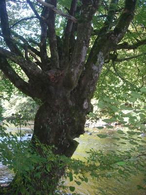 DSCN7589.JPG