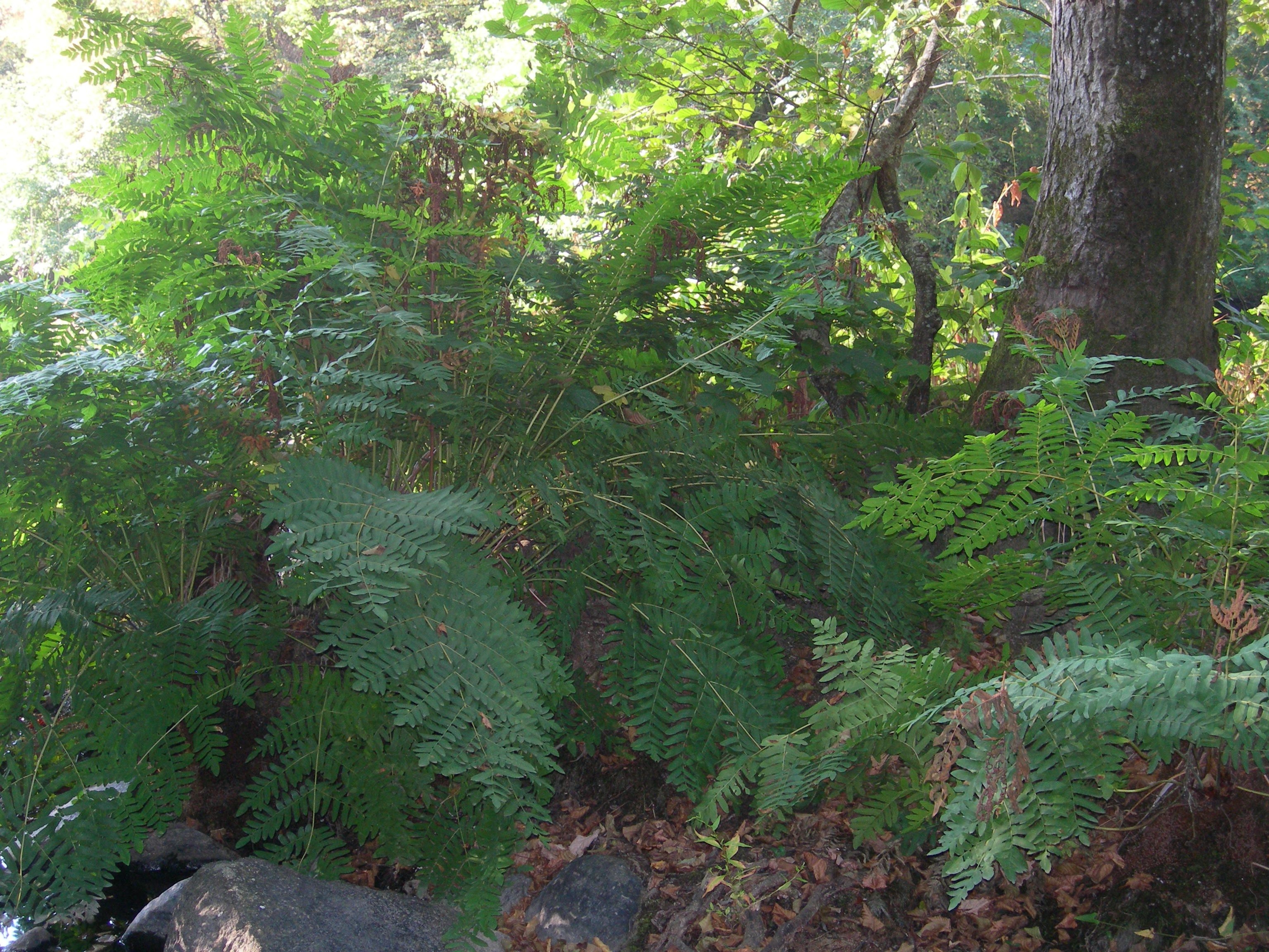 DSCN7591.JPG
