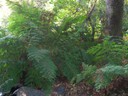 DSCN7591.JPG