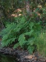 DSCN7593.JPG