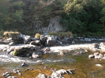 DSCN7594.JPG