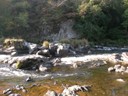 DSCN7594.JPG