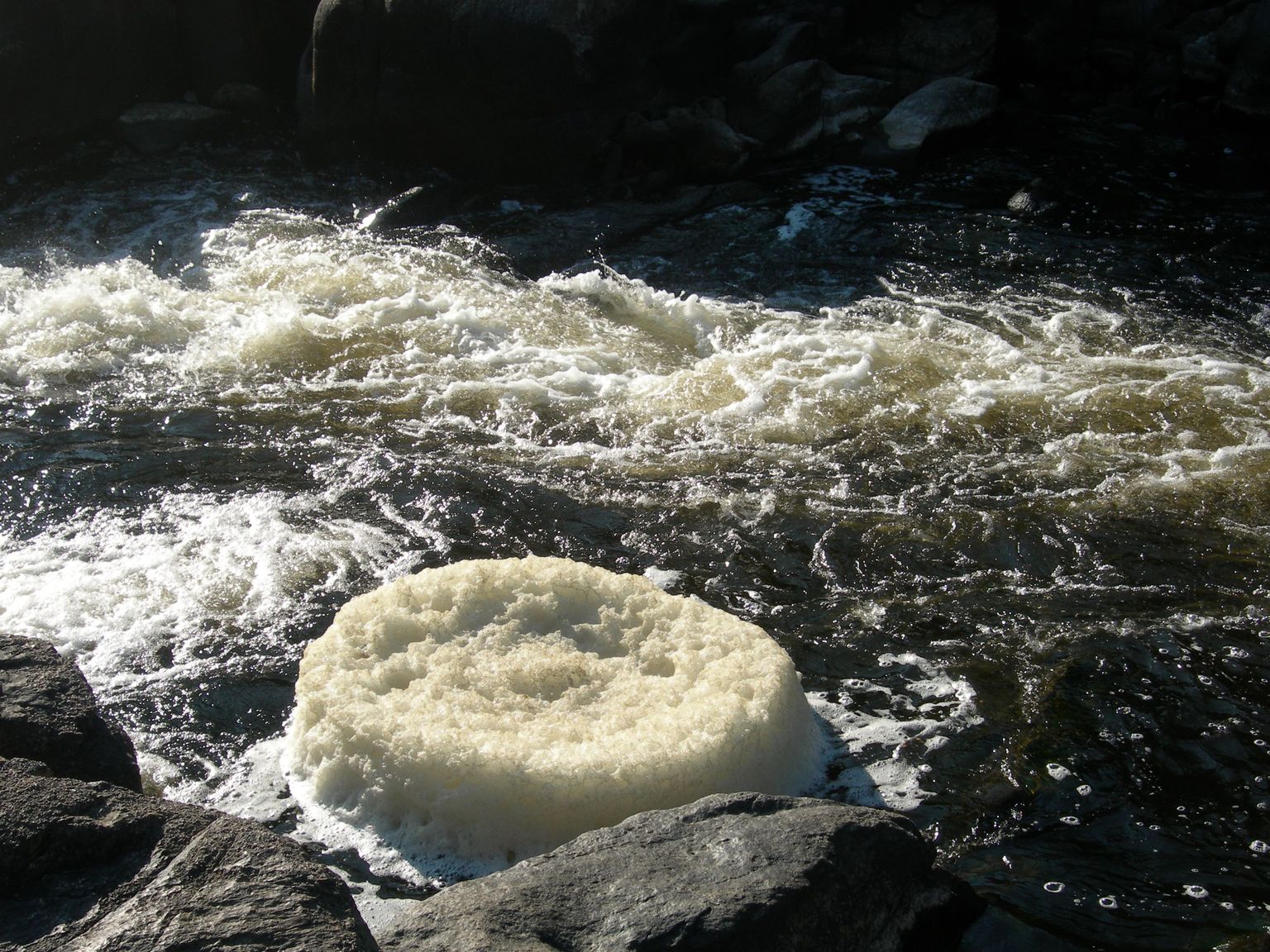 DSCN7596.JPG