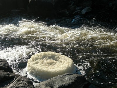 DSCN7596.JPG