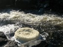 DSCN7596.JPG