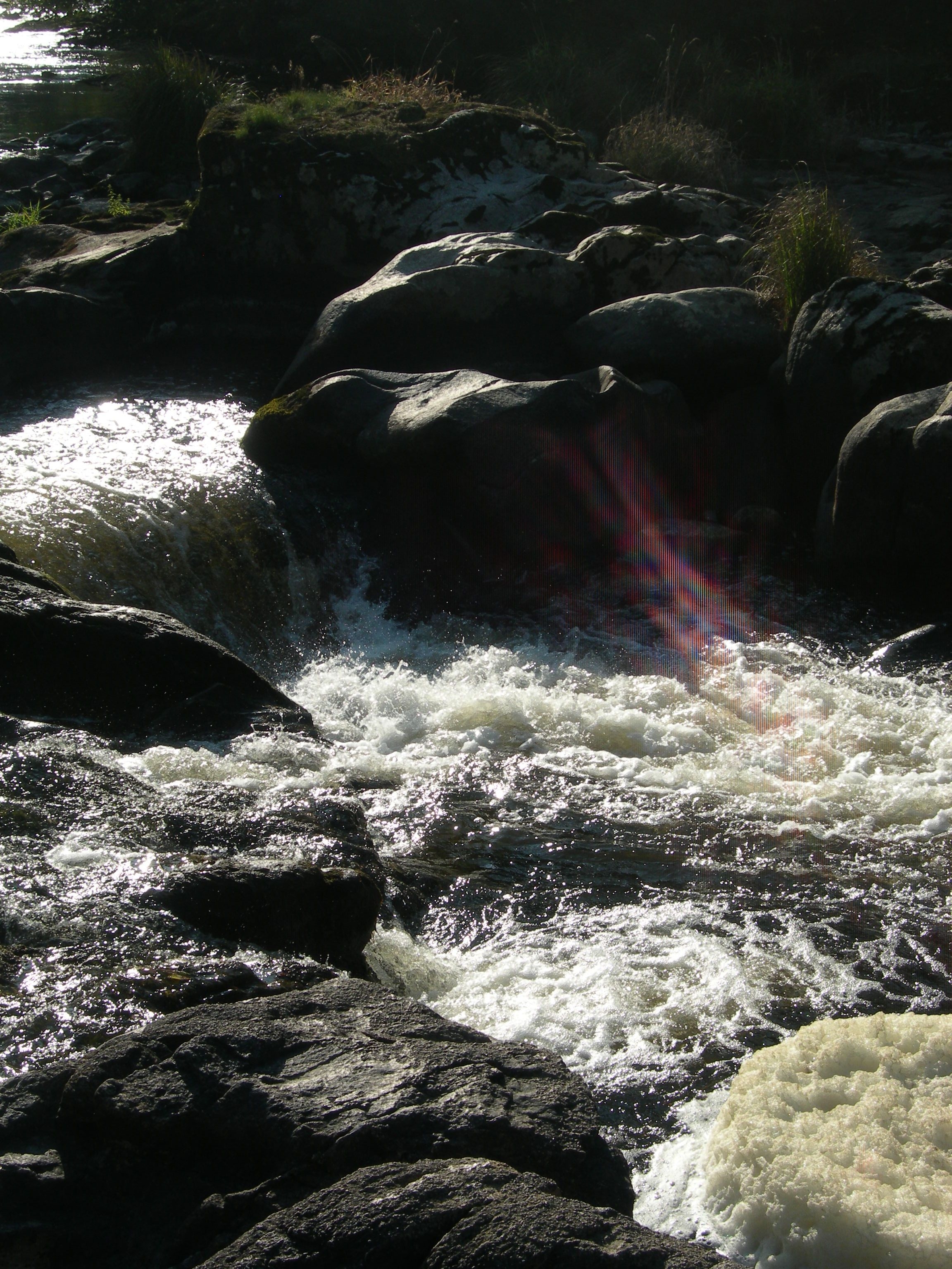 DSCN7597.JPG