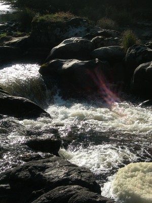 DSCN7597.JPG
